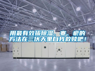 企业新闻用最有效拔除湿、寒、瘀的方法在三伏天里自我救赎吧！