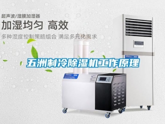 行业新闻五洲制冷除湿机工作原理