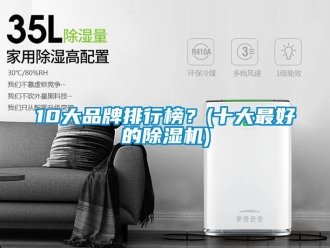 企业新闻10大品牌排行榜？(十大最好的除湿机)