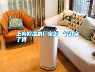 知识百科上海除湿机厂家怎一个乱字了得