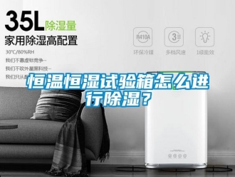 知识百科恒温恒湿试验箱怎么进行除湿？
