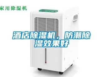 行业新闻酒店除湿机，防潮除湿效果好