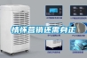 情怀营销还需身正