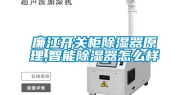 廉江开关柜除湿器原理,智能除湿器怎么样