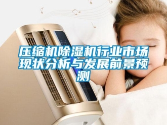 行业新闻压缩机除湿机行业市场现状分析与发展前景预测