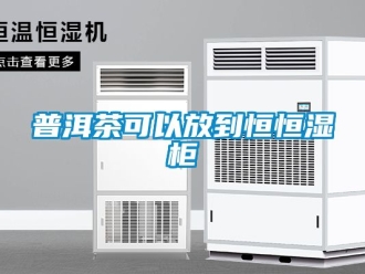 知识百科普洱茶可以放到恒恒湿柜