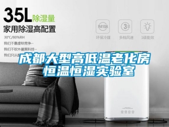知识百科成都大型高低温老化房 恒温恒湿实验室