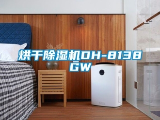 行业新闻烘干除湿机DH-8138GW