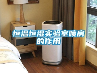 知识百科恒温恒湿实验室喷房的作用