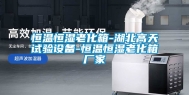 恒温恒湿老化箱-湖北高天试验设备-恒温恒湿老化箱厂家