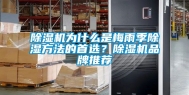 除湿机为什么是梅雨季除湿方法的首选？除湿机品牌推荐