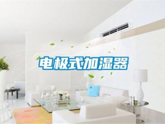 企业新闻电极式加湿器