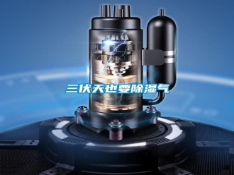 行业新闻三伏天也要除湿气