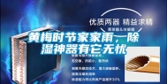 黄梅时节家家雨，除湿神器有它无忧
