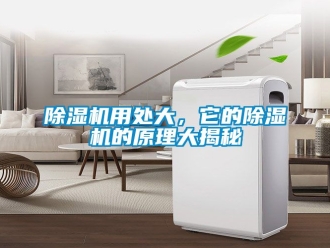 行业新闻除湿机用处大，它的除湿机的原理大揭秘