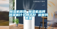除湿机原理 除湿机品牌 除湿机什么牌子好 返回列表页