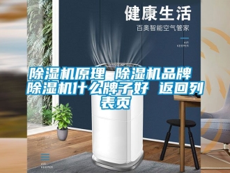企业新闻除湿机原理 除湿机品牌 除湿机什么牌子好 返回列表页