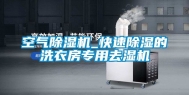 空气除湿机_快速除湿的洗衣房专用去湿机