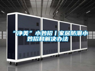 企业新闻“净美”小妙招丨家居防潮小妙招和解决办法