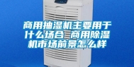 商用抽湿机主要用于什么场合 商用除湿机市场前景怎么样