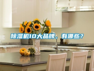 企业新闻除湿机10大品牌，有哪些？