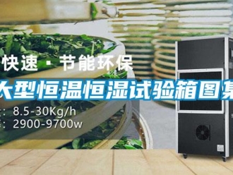 知识百科大型恒温恒湿试验箱图集