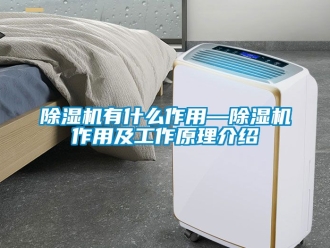 行业新闻除湿机有什么作用—除湿机作用及工作原理介绍