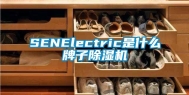 SENElectric是什么牌子除湿机