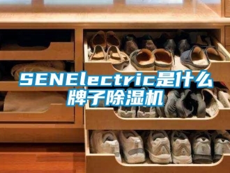 企业新闻SENElectric是什么牌子除湿机