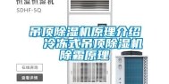 吊顶除湿机原理介绍  冷冻式吊顶除湿机除霜原理
