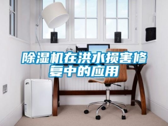 企业新闻除湿机在洪水损害修复中的应用