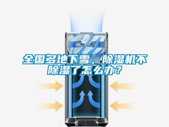 行业新闻全国多地下雪，除湿机不除湿了怎么办？