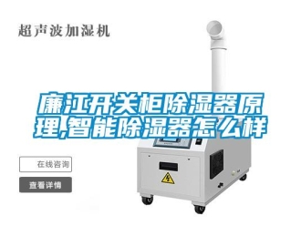 行业新闻廉江开关柜除湿器原理,智能除湿器怎么样