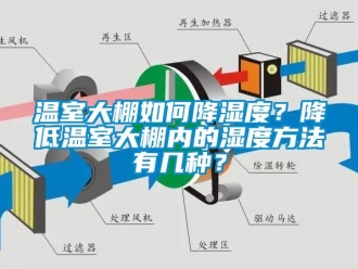 企业新闻温室大棚如何降湿度？降低温室大棚内的湿度方法有几种？