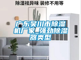 企业新闻广东吴川市除湿机厂家_强劲除湿器类型