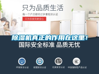 行业新闻除湿机真正的作用在这里！