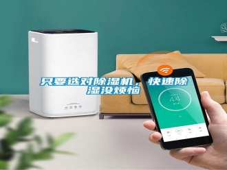 知识百科只要选对除湿机，快速除湿没烦恼
