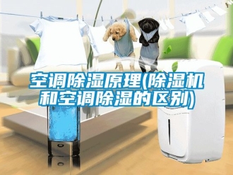 行业新闻空调除湿原理(除湿机和空调除湿的区别)