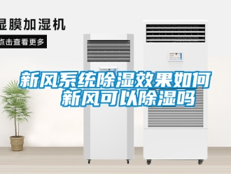 行业新闻新风系统除湿效果如何  新风可以除湿吗