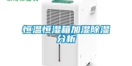 恒温恒湿箱加湿除湿分析
