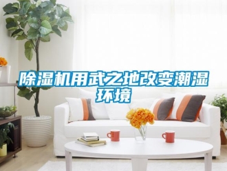 企业新闻除湿机用武之地改变潮湿环境