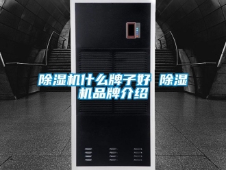 企业新闻除湿机什么牌子好 除湿机品牌介绍