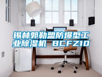 企业新闻锡林郭勒盟防爆型工业除湿机 BCFZ10