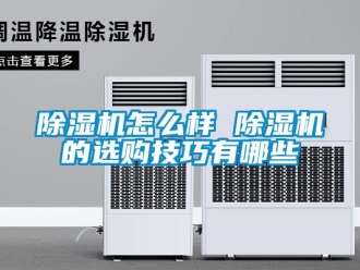 行业新闻除湿机怎么样 除湿机的选购技巧有哪些