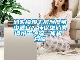 行业新闻消失模烘干房湿度多少适宜？环保型消失模烘干除湿一体机 白模