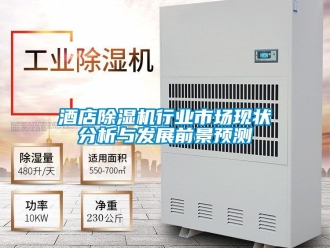行业新闻酒店除湿机行业市场现状分析与发展前景预测