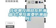 北京单反用放在防潮箱么(单反需要防潮箱吗)