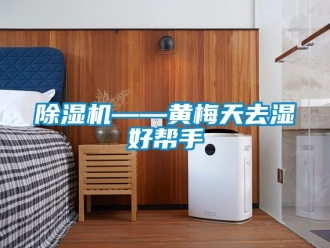 行业新闻除湿机——黄梅天去湿好帮手