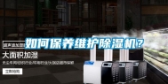 如何保养维护除湿机？
