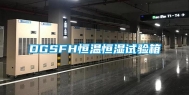 DGSFH恒温恒湿试验箱